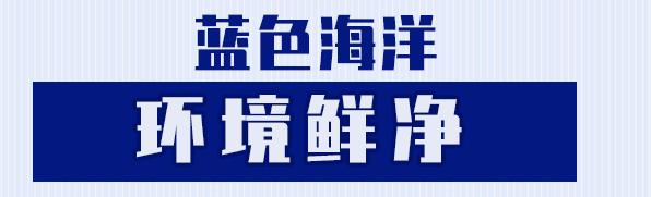 搬来个舟山「海鲜市场」！佛手、胭脂、大米鱼…你爱吃的海鲜从挑到做全get