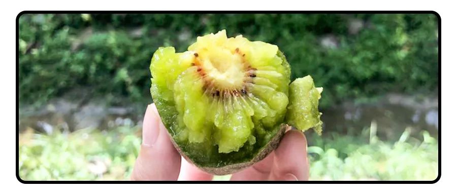 搬来个舟山「海鲜市场」！佛手、胭脂、大米鱼…你爱吃的海鲜从挑到做全get