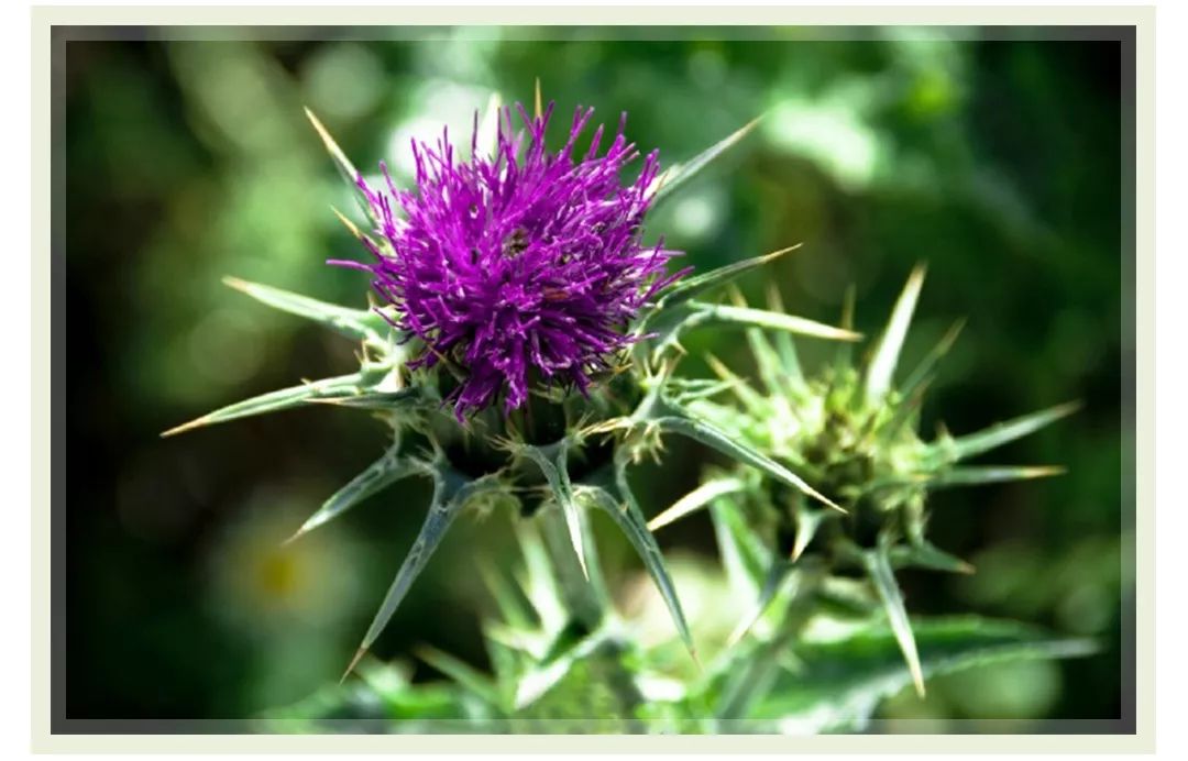 不要小看一个皮肤好的女人,皮肤好的女生都做对了哪些事