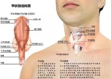 河南肿瘤医院金国萍,金大夫妙手回春