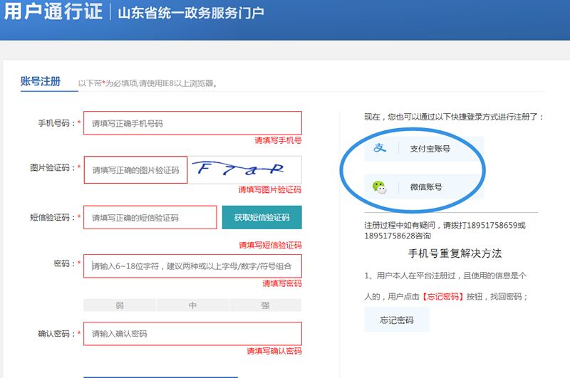 网上服务大厅没有养老保险选项,网上服务大厅为什么进不去