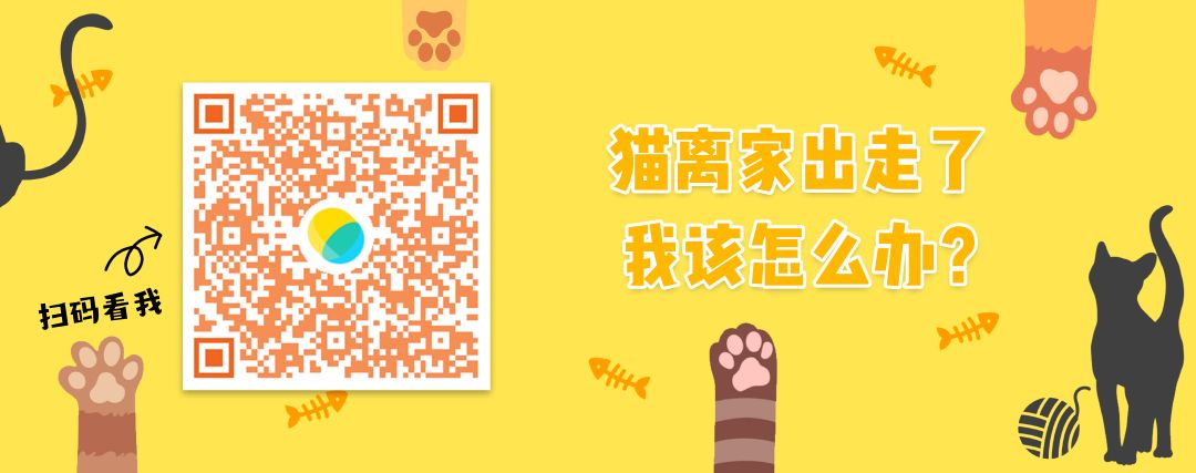 剪刀找猫法一般要多久,剪刀法找猫具体步骤