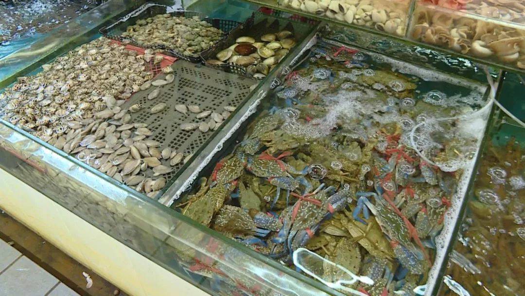 各种生猛海鲜安排,南宁海鲜今日价格表