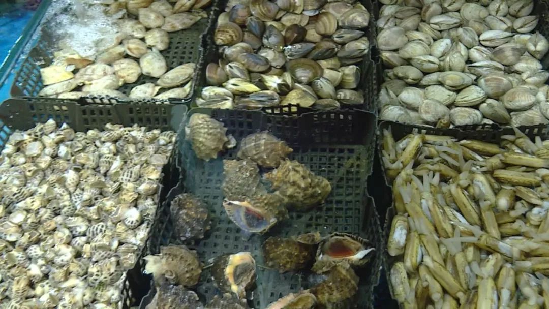 各种生猛海鲜安排,南宁海鲜今日价格表