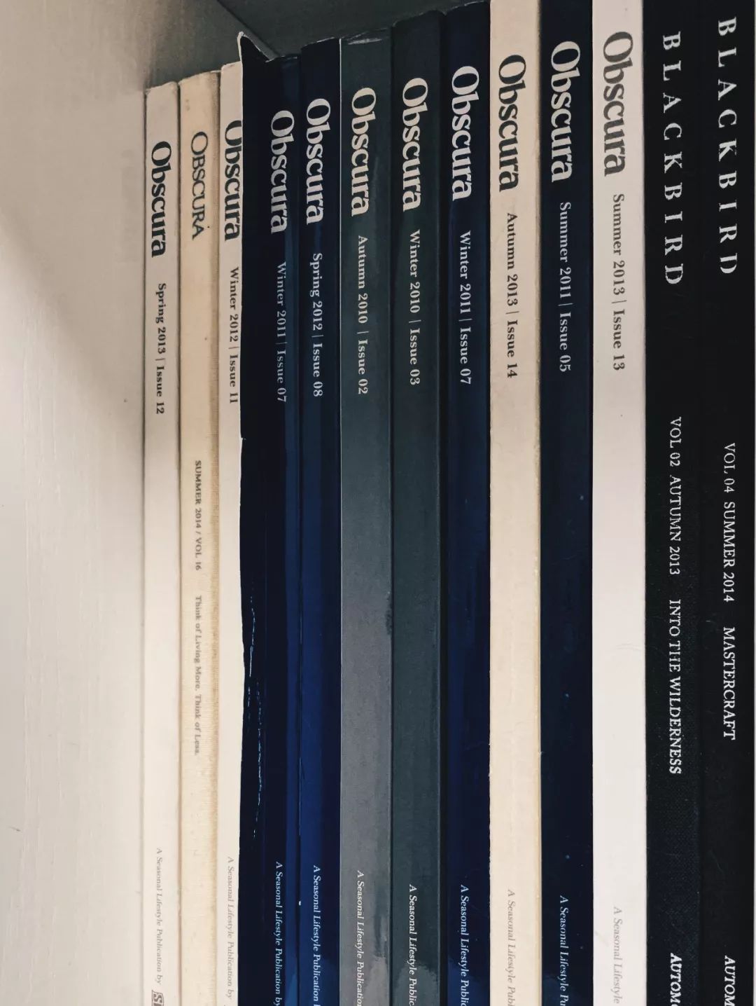 涓浗鏉傚織鐨勫彂灞曡秼鍔垮拰鏈潵璧板悜,鏉傚織鍙戝睍鍓嶆櫙濡備綍