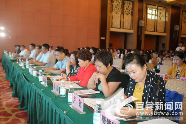 国内外静脉治疗新进展,静脉治疗新征程