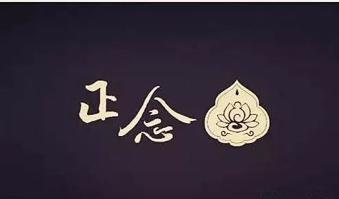 戒毒人员康复训练新方法,成功戒毒的最佳方法