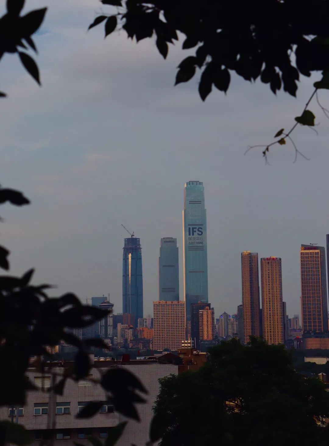 谁拍谁丑特效,谁拍谁丑道具