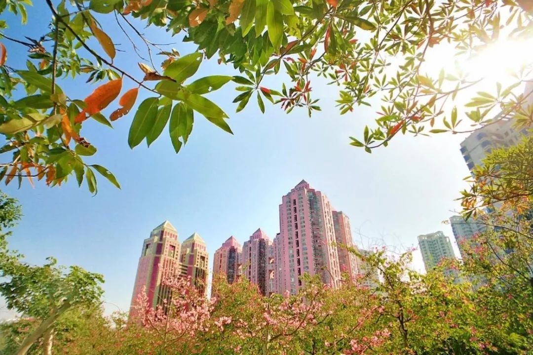 谁拍谁丑特效,谁拍谁丑道具