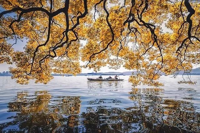 谁拍谁丑特效,谁拍谁丑道具