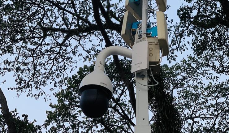 大华股份和大华安防,大华海康安防占全球市场份额