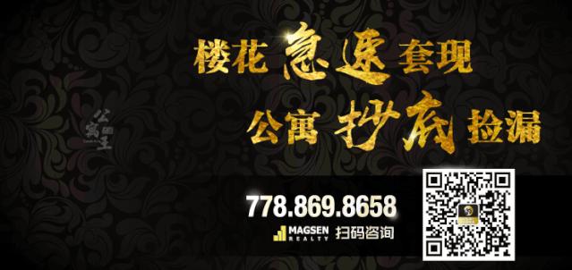 19年18年登陆新移民,为何要赶在年底前往加拿大多汇款?如何利用加国税法海外资产申报的时间差,合理避税?新移民和空中飞人必听