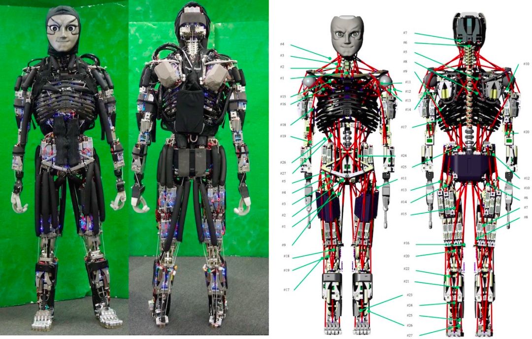 日本互联网金融发展现状,日本互联网行业发展不起来的原因