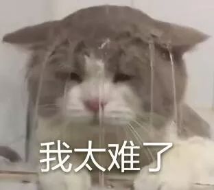 注意！齐齐哈尔怕这个的，你们的最佳搭档来了...