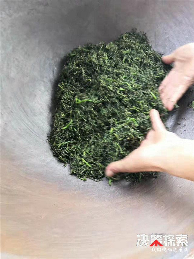 内乡县王店镇：炒出“高价”芦笋茶加快脱贫步伐