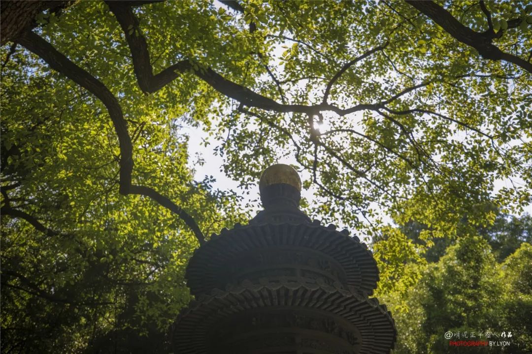 金陵由来的三种猜想,金陵的简介