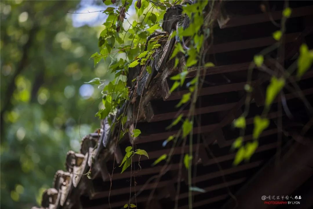 金陵由来的三种猜想,金陵的简介