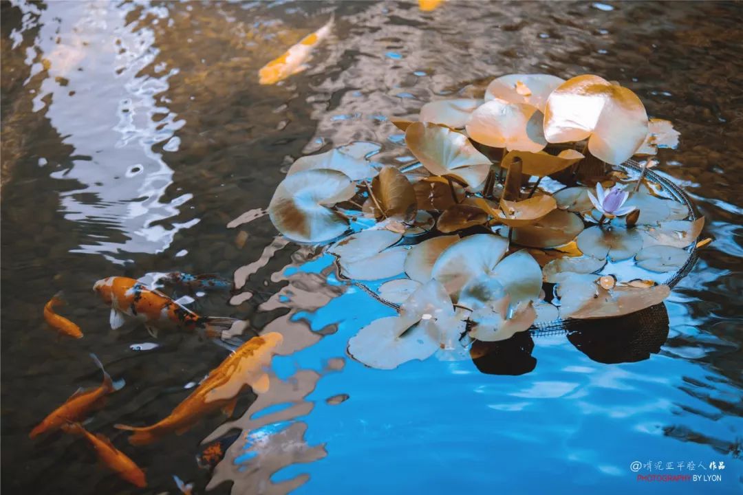 金陵由来的三种猜想,金陵的简介