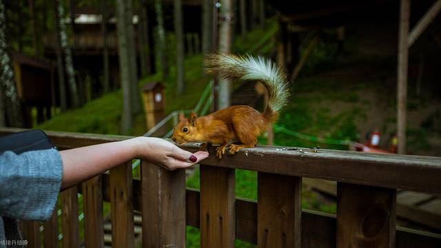 中亚五国俄罗斯自驾游,中亚五国旅行