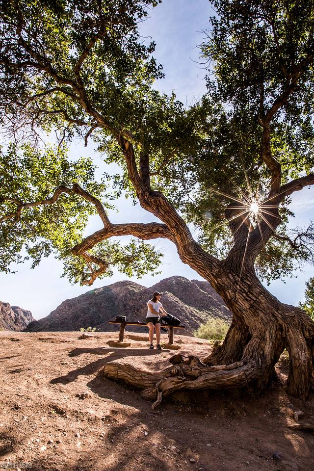 中亚五国俄罗斯自驾游,中亚五国旅行