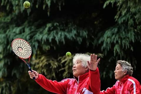 大脑如何返老还童？剑桥大学研究证明脑干细胞的衰老可逆转