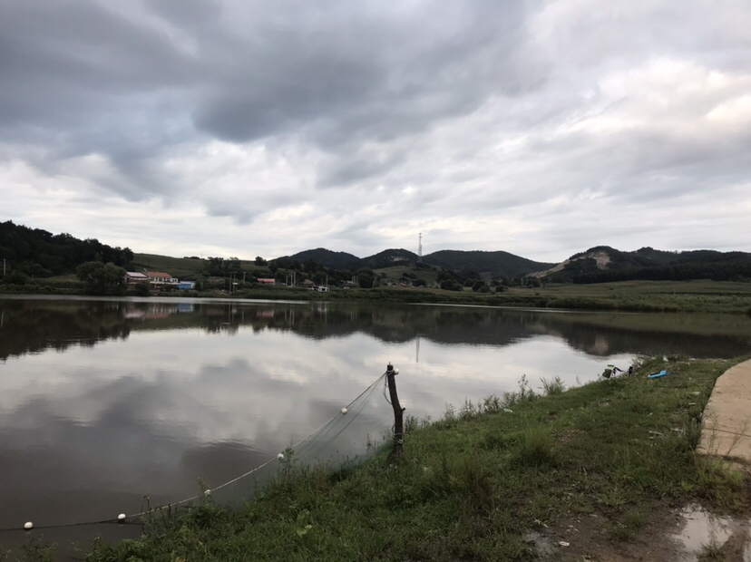 水库夜钓鲤鱼草鱼视频,水库夜钓大鲤鱼