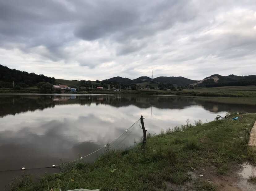 水库夜钓鲤鱼草鱼视频,水库夜钓大鲤鱼