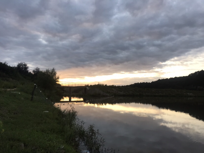 水库夜钓鲤鱼草鱼视频,水库夜钓大鲤鱼