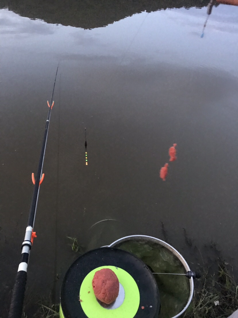 水库夜钓鲤鱼草鱼视频,水库夜钓大鲤鱼