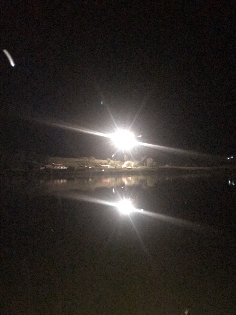 水库夜钓鲤鱼草鱼视频,水库夜钓大鲤鱼