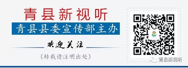 青冈县招聘事业单位公告,青县事业单位招聘