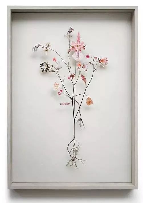 干花制作手工画,做手工diy干花