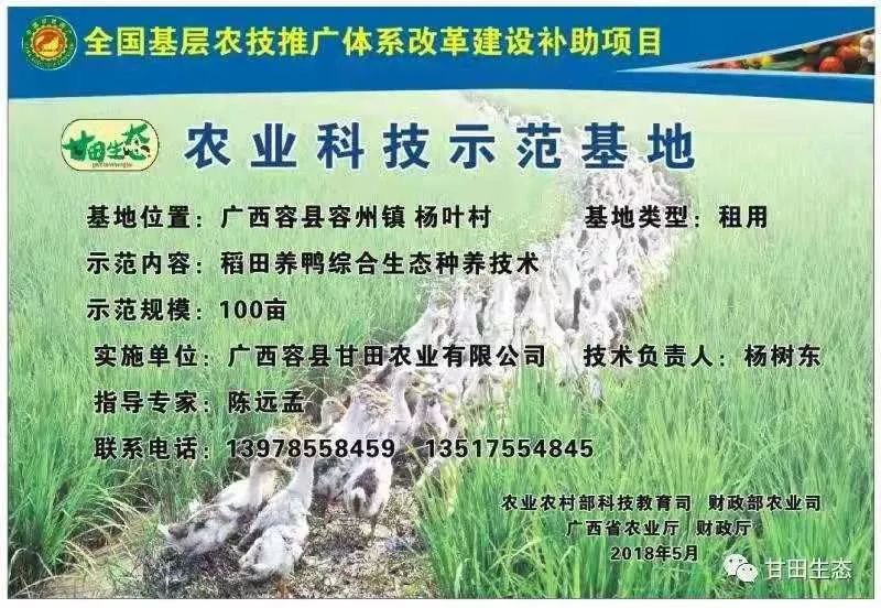 吃了一惊！没想到，这些“高大上”的产品全都是“玉林制造”