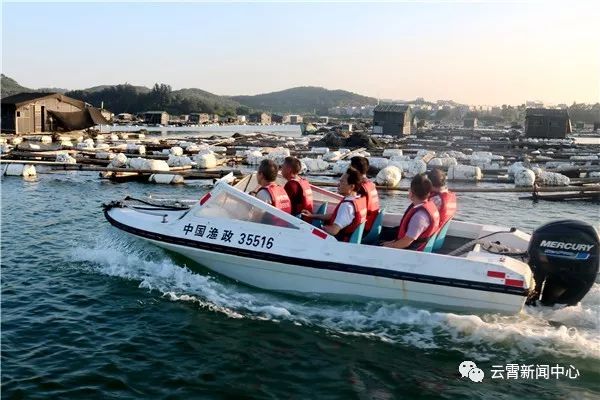 白鹿出战,白鹿来袭农田