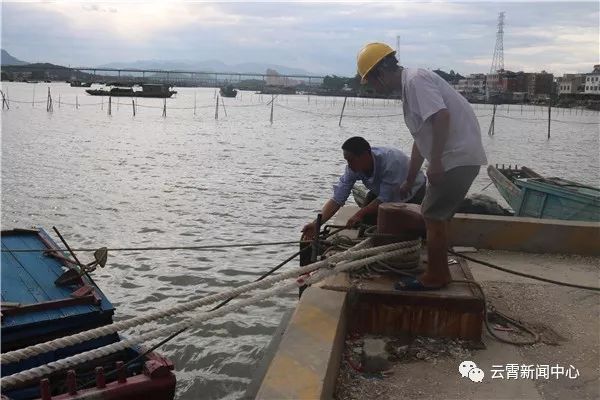 白鹿出战,白鹿来袭农田