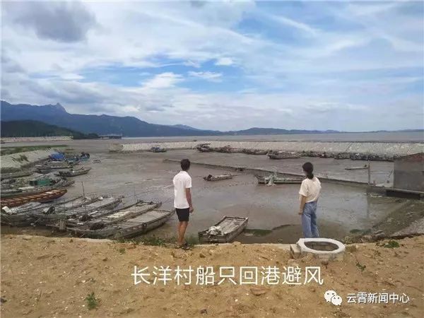 白鹿出战,白鹿来袭农田