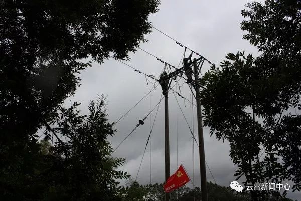 白鹿出战,白鹿来袭农田