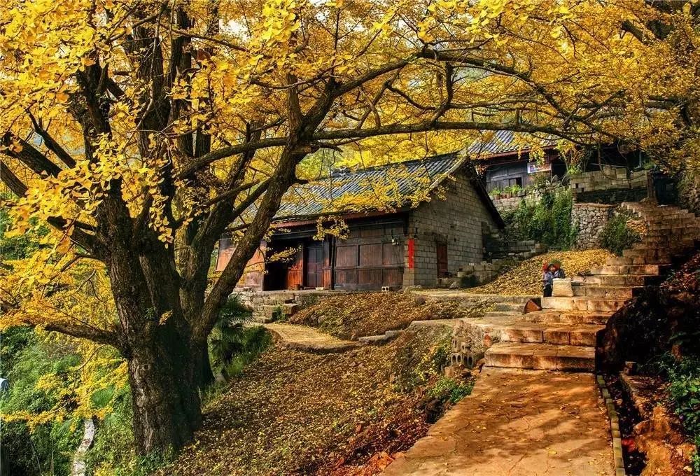 周末适合休闲的古镇古村,大山深处古村两天游