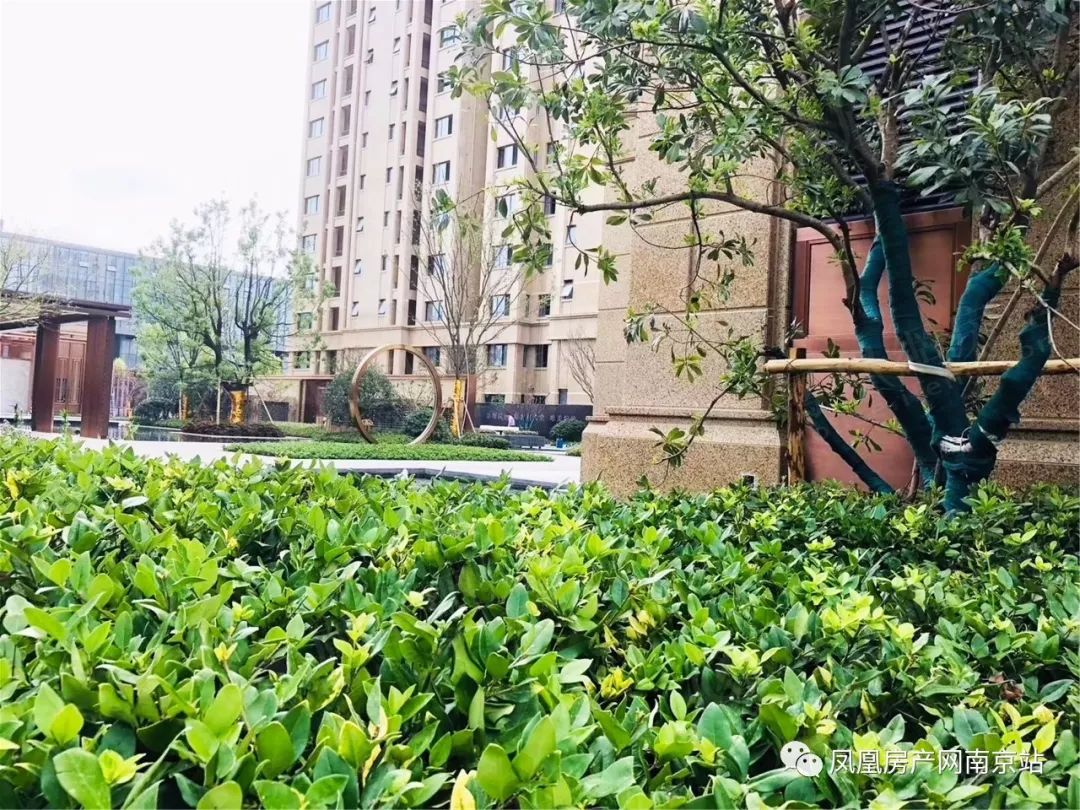 1043万成交!27人争抢的这套主城房,竟无法过户?