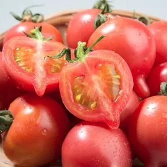 日本高光大牌,日本高光暗影哑光推荐