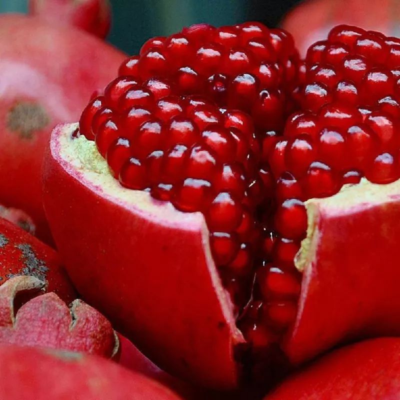 日本高光大牌,日本高光暗影哑光推荐