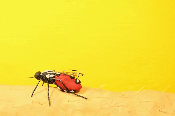 蚊子不会咬人吗,超级讨厌蚊子如何把蚊子赶尽杀绝