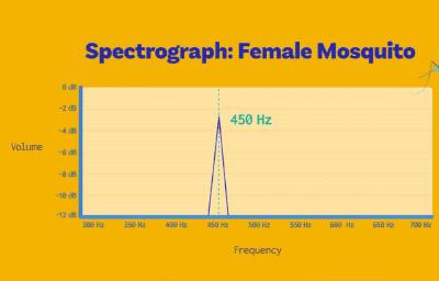 蚊子不会咬人吗,超级讨厌蚊子如何把蚊子赶尽杀绝