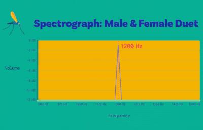 蚊子不会咬人吗,超级讨厌蚊子如何把蚊子赶尽杀绝