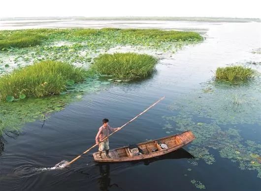 2019/8/26（941）《湖北日报》整版丨携手同行，形成合力，用法治保护国家利益和社会公共利益