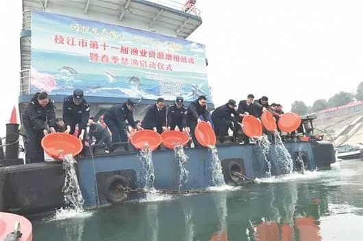 2019/8/26（941）《湖北日报》整版丨携手同行，形成合力，用法治保护国家利益和社会公共利益