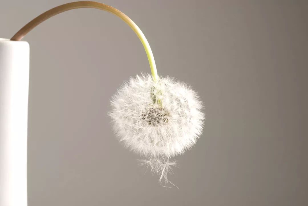 为了不让ED盯上你，男科专家要干两件事