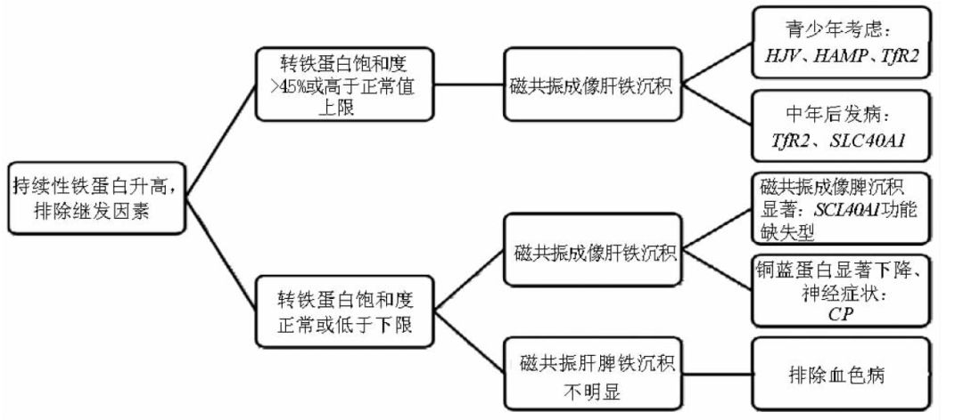 遗传血色素基因高多少比较严重,遗传性红细胞增多症基因治疗