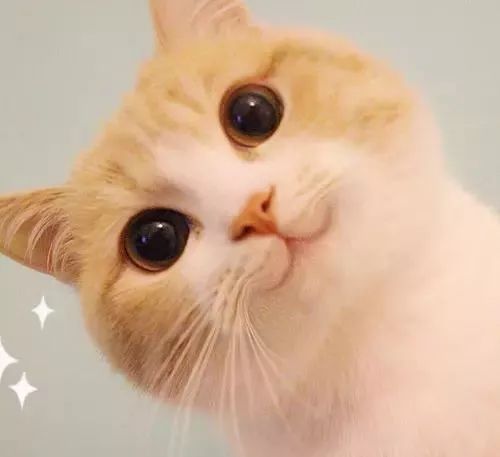 成都四七九怎么选,成都四七九难度排名