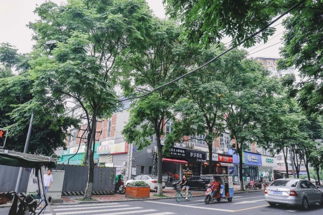 成都历史老照片,成都护城河老照片